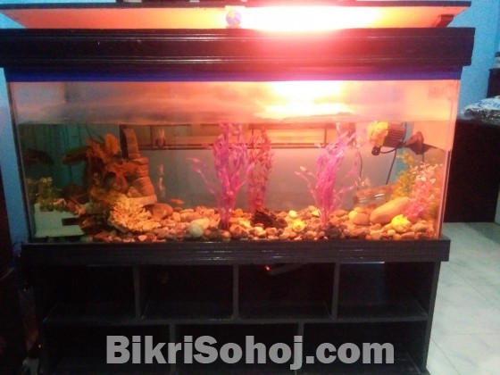 4 feet long aquarium for sale